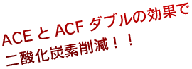 ACEとACFダブルの効果で二酸化炭素削減！！